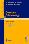 K. Behrend, C. Gomez, V. Tarasov, G. Tian, P. de Bartolomeis, P.de Bartolomeis... - Quantum Cohomology