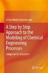 Liliane Maria Ferrareso Lona - A Step by Step Approach to the Modeling of Chemical Engineering Processes