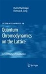 Christof Gattringer, Christian B. Lang - Quantum Chromodynamics on the Lattice