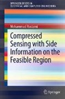 Mohammad Rostami - Compressed Sensing with Side Information on the Feasible Region