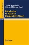Yuri V. Nesterenko, Patrice Philippon - Introduction to Algebraic Independence Theory