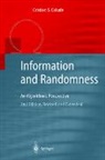Cristian S. Calude - Information and Randomness