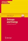 Ingo Müller, Wolf Weiss - Entropy and Energy, w. CD-ROM