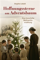 Brigitte Liebelt - Hoffnungssterne am Adventsbaum