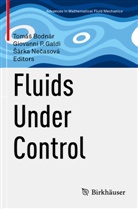 Tomá¿ Bodnár, Tomás Bodnár, Giovanni P. Galdi, ¿Árka Ne¿asová, Sárka Necasová, Giovanni P Galdi - Fluids Under Control
