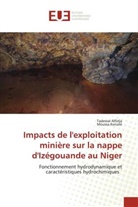 Tadewal Alfidja, Moussa Konaté - Impacts de l'exploitation minière sur la nappe d'Izégouande au Niger