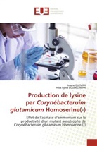Hiba Ryma Boudechicha, Imane Guemra - Production de lysine par Corynébacteruim glutamicum Homoserine(-)