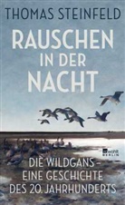 Thomas Steinfeld - Rauschen in der Nacht