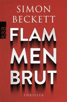 Simon Beckett - Flammenbrut