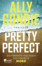 Ally Condie - Pretty Perfect
