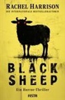 Rachel Harrison - Black Sheep