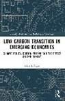 Erkin Erdogan, Erkin Erdoğan - Low Carbon Transition in Emerging Economies