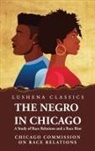 Unknown - The Negro in Chicago A Study of Race Relations and a Race Riot