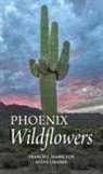 Steve W. Chadde, Francis L. Hamilton - Phoenix Wildflowers