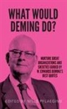 W. Edwards Deming, Niels Pflaeging - What would Deming do?