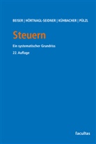 Reinhold Beiser, Verena Hörtnagl-Seidner, Kühb, Thomas Kühbacher, Peter Pülzl - Steuern