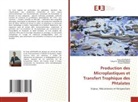 Iliass ACHOUKHI, Fouad Dimane, Yahya El Hammoudani - Production des Microplastiques et Transfert Trophique des Phtalates
