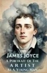 James Joyce - A Portrait of the Artist as a Young Man