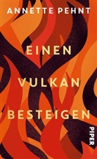 Annette Pehnt - Einen Vulkan besteigen
