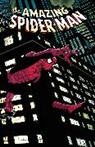Marc Guggenheim, Guggenheim Marc, Barry Kitson, John Romita, Dan Slott, Slott Dan... - Spider-Man: Brand New Day Omnibus Vol. 2 John Romita Jr. Cover