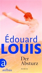 Édouard Louis - Der Absturz