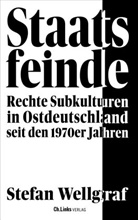 Stefan Wellgraf - Staatsfeinde