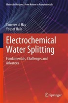 Yousef Haik, Tanveer ul Haq - Electrochemical Water Splitting