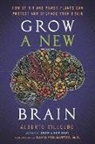 Alberto Villoldo - Grow a New Brain