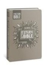 David C Cook, Sergio Cariello - The NIV Action Study Bible, Leathersoft, Gray, Full Color