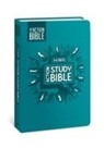 David C Cook, Sergio Cariello - The NIV Action Study Bible, Leathersoft, Aqua, Full Color