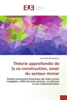 John Ekina Bongongo - Théorie approfondie de la co-construction, essor du secteur minier