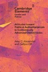 Amy C. Alexander, Amy C. (University of Gothenburg) Off Alexander, Gefjon Off - Attitudes Toward Political Authoritarianism in Economically Advanced
