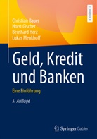 Christian Bauer, Horst Gischer, Bernhard Herz, Bernhard u a Herz, Lukas Menkhoff - Geld, Kredit und Banken
