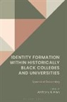 Anthony B Pinn, Pinn Anthony B. - Identity Formation within Historically Black Colleges and Universities