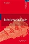 Marcel Lesieur - Turbulence in Fluids