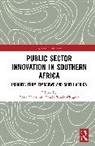 Lewis Edwin Chigova, Costa Hofisi - Public Sector Innovation in Southern Africa