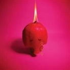 Arcade Fire - Pink Elephant (Livre audio)