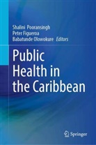 Peter Figueroa, Babatunde Olowokure, Shalini Pooransingh - Public Health in the Caribbean