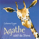 Catherine Rayner, Catherine Rayner - Agathe zählt die Sterne