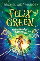 Rachel Morrisroe - Felix Green - Geisterseher und Geheimagent