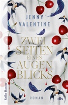 Jenny Valentine - Zwei Seiten eines Augenblicks