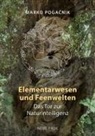 Marko Pogacnik, Marko Pogačnik - Elementarwesen und Feenwelten