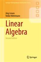 Jörg Liesen, Volker Mehrmann - Linear Algebra