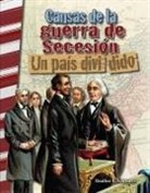 Heather Schwartz - Causas de la Guerra de Secesión