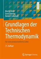 Martin Dehli, Ernst Doering, Herbert Schedwill - Grundlagen der Technischen Thermodynamik