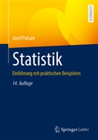 Josef Puhani - Statistik