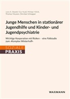 Leon A Brandt, Leon A. Brandt, Silja Hauß, Michael Kölch, Michael u a Kölch, Thomas Meysen... - Junge Menschen in stationärer Jugendhilfe und Kinder- und Jugendpsychiatrie