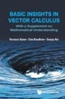 Zine Boudhraa, Terrance J Quinn, Sanjay Rai, Rai Sanjay, Terrance J Quinn, Zine Boudhraa &amp; Sanjay Terrance J Quinn - Basic Insights In Vector Calculus: With A Supplement On Mathematical Understanding