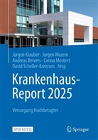 Andreas Beivers, Andreas Beivers u a, Jürgen Klauber, Carina Mostert, David Scheller-Kreinsen, Jürgen Wasem - Krankenhaus-Report 2025