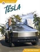Dalton Rains - Tesla
